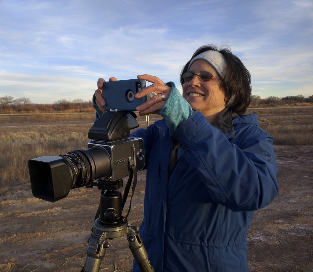 Mapping Bird Migrations From Radar Data To Silver Gelatin Artworks 